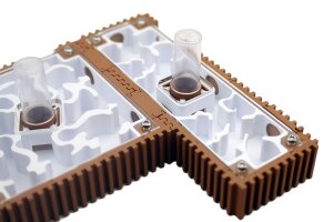 Vault Ameisennest Serie