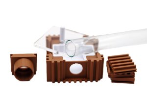 Ameisenkönigin Starter-Sets