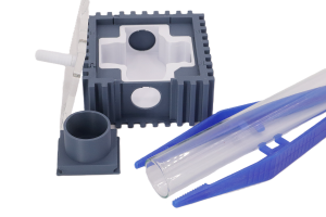 Ameisenkönigin Starter-Sets