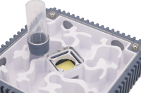 Vault Ameisennest | 10x10