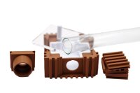 Vault Ameisennest | Queen Starter-Set 5x5