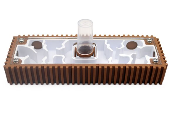 Vault Ameisennest | 5x15