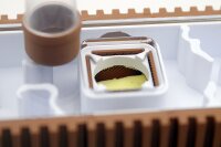 Vault Ameisennest | 5x15